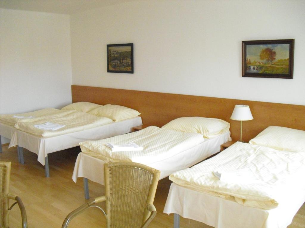Mestsky Hotel Dorinka Hostinné Rom bilde